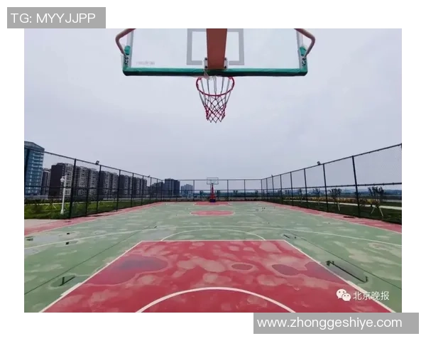 北京篮球队区域防守革新之路探索与实践分析